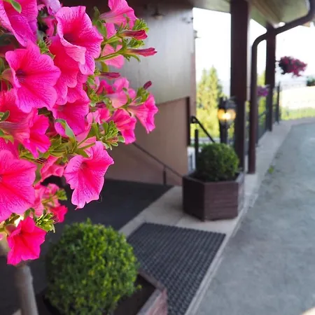 Vyhlidka Janovicky Guest house 3*