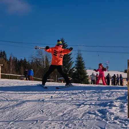 Гостевой дом Vyhlidka Janovicky 3*