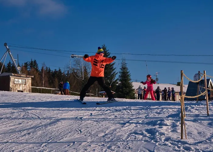 بيت ضيافة Vyhlidka Janovicky 3*